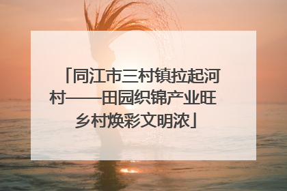 同江市三村镇拉起河村——田园织锦产业旺 乡村焕彩文明浓