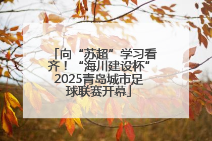 向“苏超”学习看齐！“海川建设杯”2025青岛城市足球联赛开幕