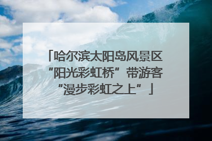 哈尔滨太阳岛风景区“阳光彩虹桥”带游客“漫步彩虹之上”