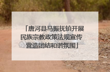 唐河县马振抚镇开展民族宗教政策法规宣传 营造团结和谐氛围