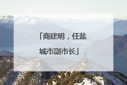 商建明，任盐城市副市长