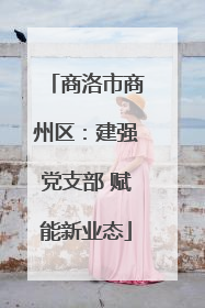 商洛市商州区：建强党支部 赋能新业态