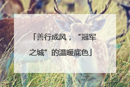 善行成风，“冠军之城”的温暖底色