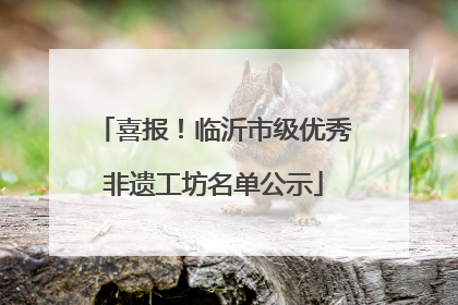 喜报！临沂市级优秀非遗工坊名单公示