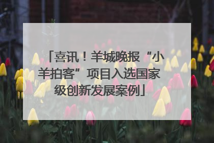 喜讯！羊城晚报“小羊拍客”项目入选国家级创新发展案例