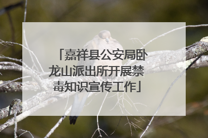 嘉祥县公安局卧龙山派出所开展禁毒知识宣传工作