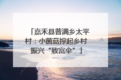 嘉禾县普满乡太平村：小菌菇撑起乡村振兴“致富伞”