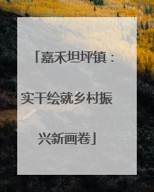 嘉禾坦坪镇：实干绘就乡村振兴新画卷