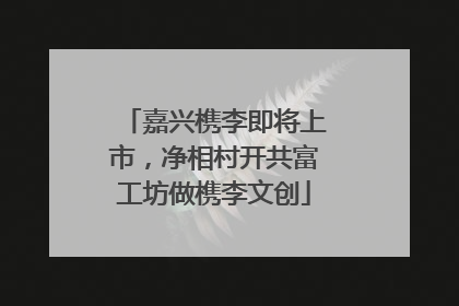 嘉兴槜李即将上市，净相村开共富工坊做槜李文创
