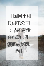国网平和县供电公司：节能宣传在行动，引领低碳新风尚