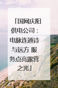 国网庆阳供电公司：电脉连通诗与远方 服务点亮露营之光