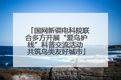 国网新疆电科院联合多方开展“爱鸟护线”科普交流活动 共筑鸟类友好城市