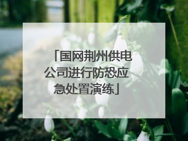 国网荆州供电公司进行防恐应急处置演练