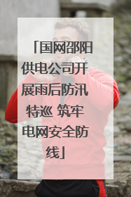 国网邵阳供电公司开展雨后防汛特巡 筑牢电网安全防线