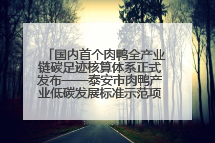 国内首个肉鸭全产业链碳足迹核算体系正式发布——泰安市肉鸭产业低碳发展标准示范项目顺利通过验收