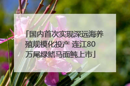 国内首次实现深远海养殖规模化投产 连江80万尾绿鳍马面鲀上市