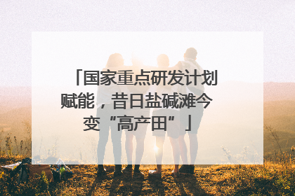 国家重点研发计划赋能，昔日盐碱滩今变“高产田”