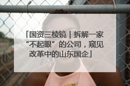 国资三棱镜｜拆解一家“不起眼”的公司，窥见改革中的山东国企