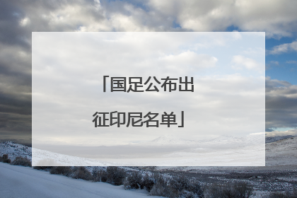 国足公布出征印尼名单