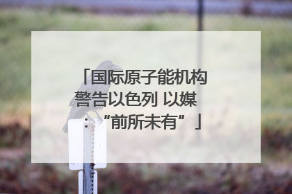 国际原子能机构警告以色列 以媒：“前所未有”