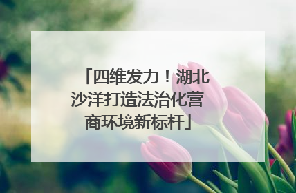 四维发力！湖北沙洋打造法治化营商环境新标杆