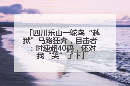 四川乐山一鸵鸟“越狱”马路狂奔，目击者：时速超40码，还对我“笑”了下