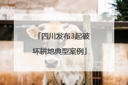 四川发布3起破坏耕地典型案例