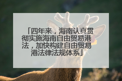 四年来，海南认真贯彻实施海南自由贸易港法，加快构建自由贸易港法律法规体系