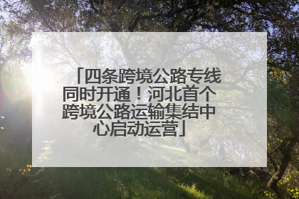 四条跨境公路专线同时开通！河北首个跨境公路运输集结中心启动运营