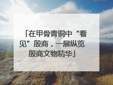 在甲骨青铜中“看见”殷商，一展纵览殷商文物精华