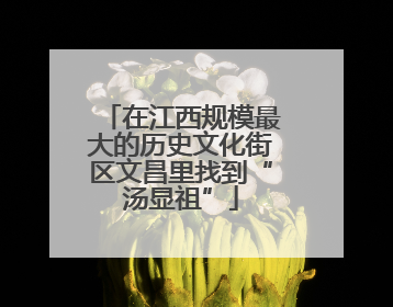 在江西规模最大的历史文化街区文昌里找到“汤显祖”