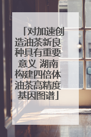 对加速创造油茶新良种具有重要意义 湖南构建四倍体油茶高精度基因图谱