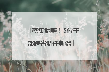 密集调整！5位干部跨省调任新疆