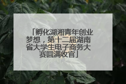 孵化湖湘青年创业梦想，第十二届湖南省大学生电子商务大赛圆满收官