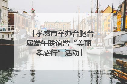 孝感市举办台胞台属端午联谊暨“美丽孝感行”活动