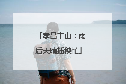 孝昌丰山：雨后天晴插秧忙