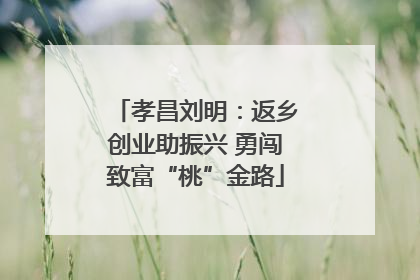 孝昌刘明：返乡创业助振兴 勇闯致富“桃”金路