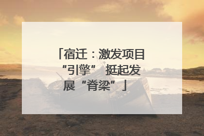宿迁：激发项目“引擎” 挺起发展“脊梁”