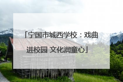 宁国市城西学校：戏曲进校园 文化润童心