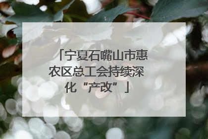 宁夏石嘴山市惠农区总工会持续深化“产改”