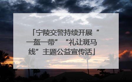 宁陵交警持续开展“一盔一带”“礼让斑马线”主题公益宣传活