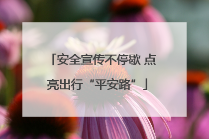 安全宣传不停歇 点亮出行“平安路”