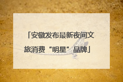 安徽发布最新夜间文旅消费“明星”品牌
