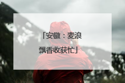 安徽：麦浪飘香收获忙