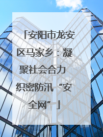 安阳市龙安区马家乡：凝聚社会合力 织密防汛“安全网”