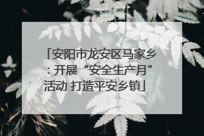 安阳市龙安区马家乡：开展“安全生产月”活动 打造平安乡镇