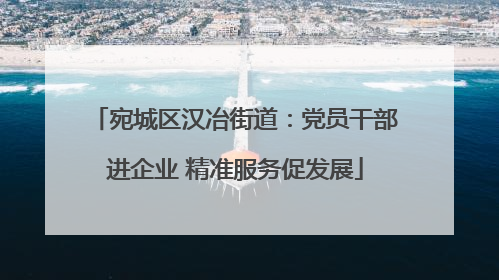 宛城区汉冶街道：党员干部进企业 精准服务促发展