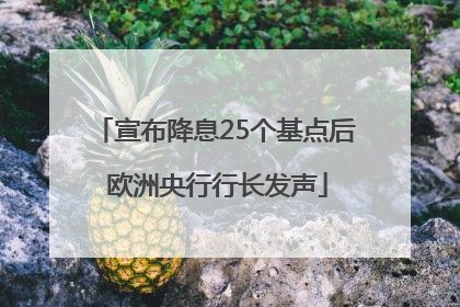 宣布降息25个基点后 欧洲央行行长发声
