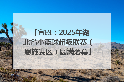 宣恩：2025年湖北省小篮球超级联赛（恩施赛区）圆满落幕