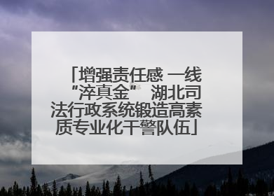 增强责任感 一线“淬真金” 湖北司法行政系统锻造高素质专业化干警队伍